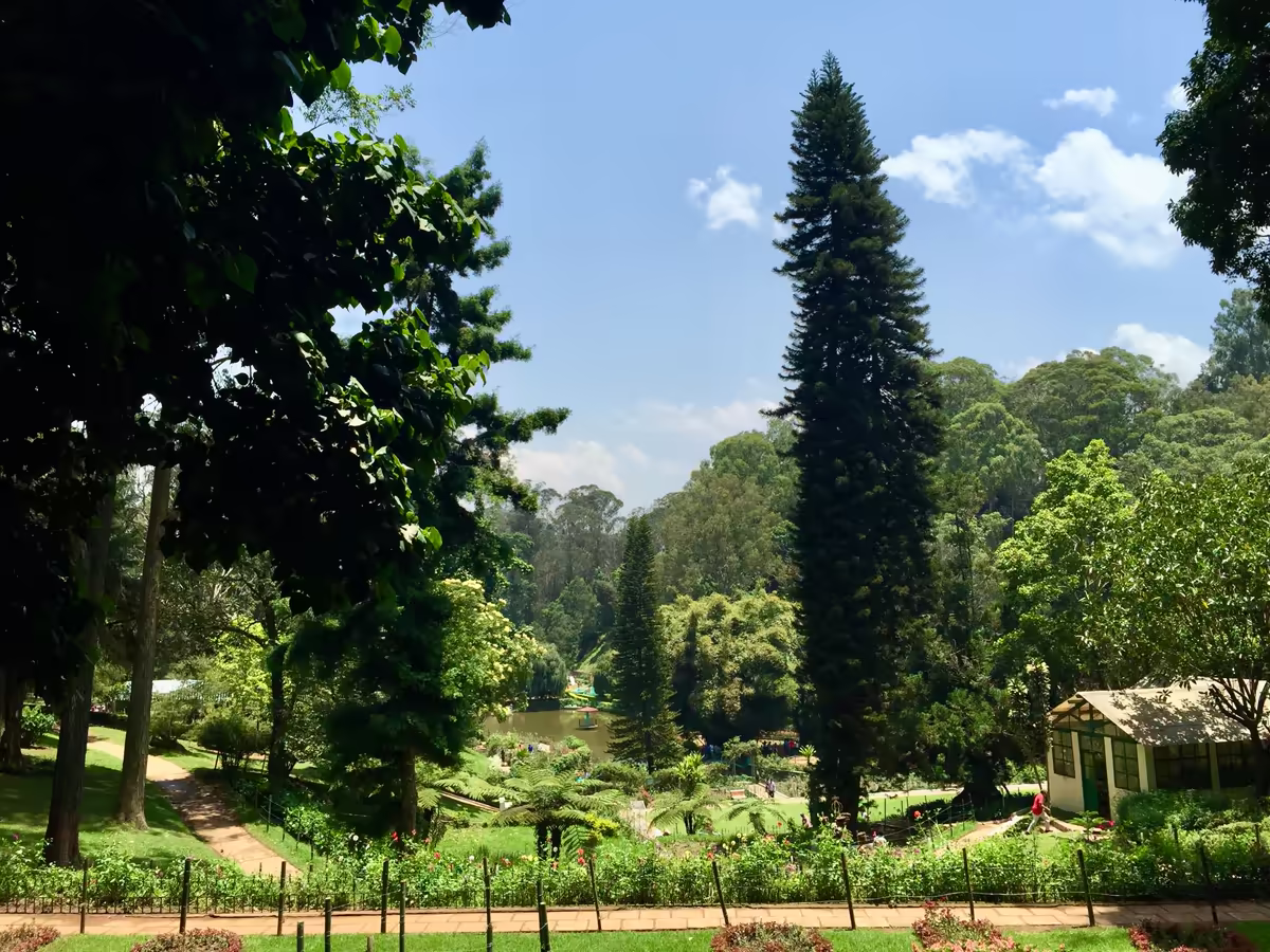 Ooty & Coorg