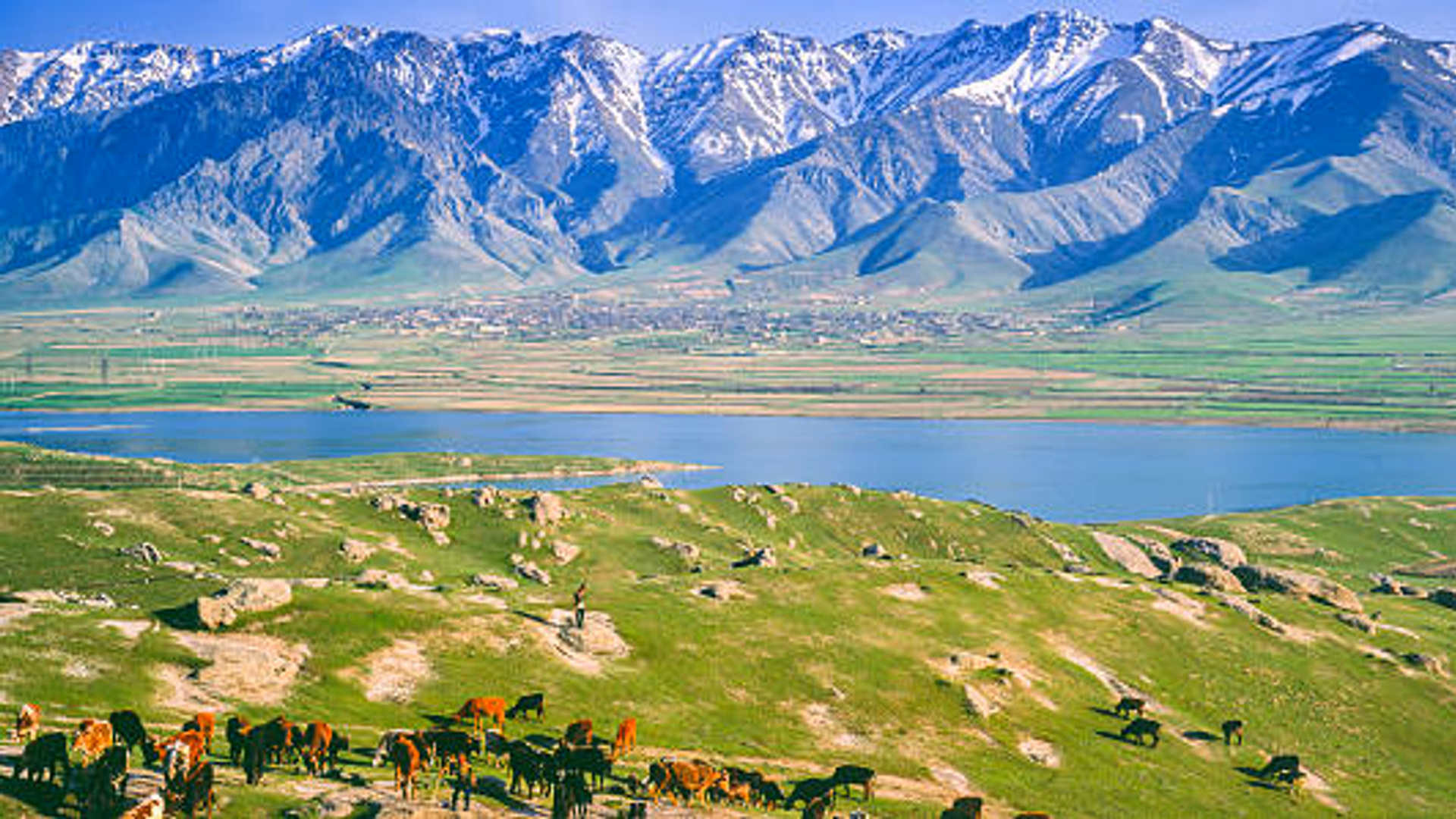 Uzbekistan Highlights Tour: Tashkent, Bukhara & Samarkand