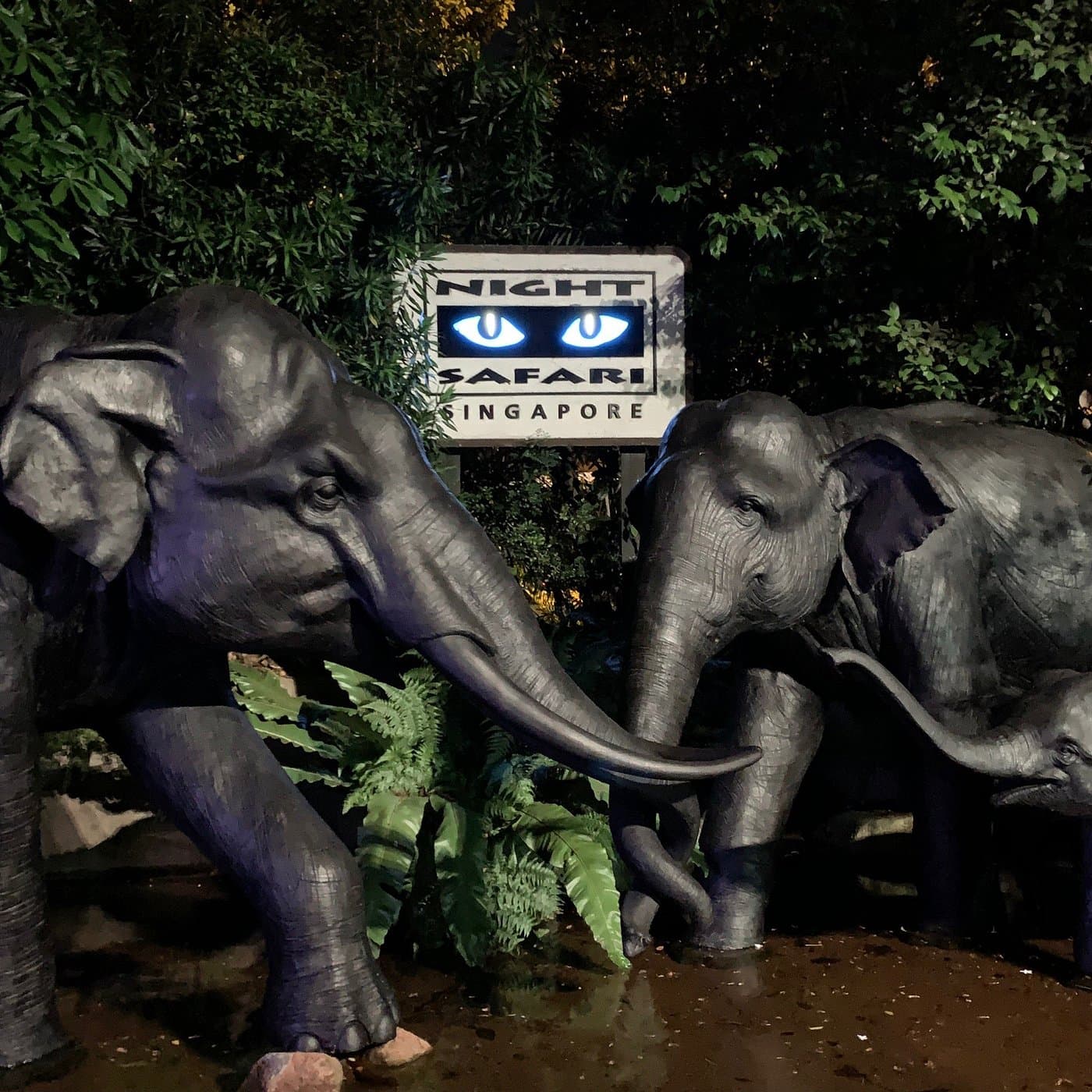 Singapore Standard Package with Hotel — 4N/5D